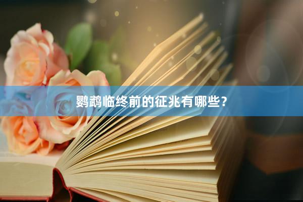鹦鹉临终前的征兆有哪些？