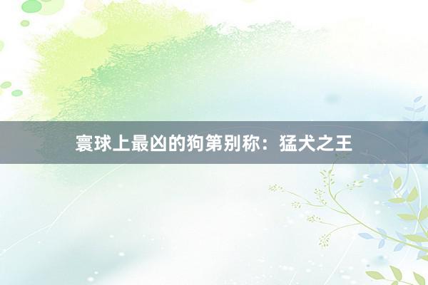 寰球上最凶的狗第别称：猛犬之王