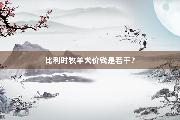 比利时牧羊犬价钱是若干？