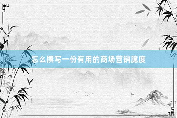 怎么撰写一份有用的商场营销臆度